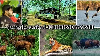 jungle safari DEBRIGARH || Sambalpur 😍😍