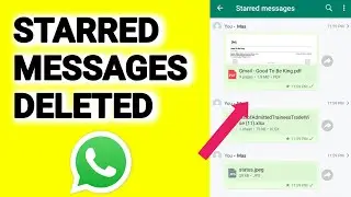 How To Delete WhatsApp Starred Messages