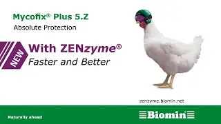 ZENzyme&reg; for Poultry