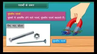 Science Fun with Magnets