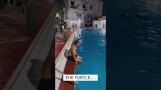 5 Weird Ways Swimmer&rsquo;s Get Into The Pool!