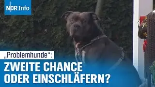 Nach Hundeangriff in Lohne: Sollten 