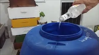 Apicultura Armazenamento de Favos de Melgueira