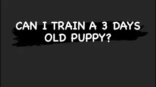 Early neurological stimulation for puppies