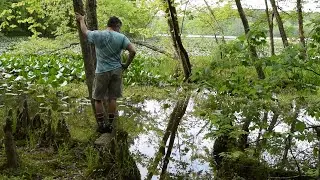 HIKING VIDEO | LAKE GLENDALE, IL