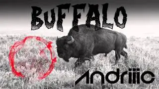 BUFFALO - ANDRIIIC @ RATBOY