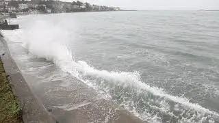 My Backyard: Moment of joy, Waves crashing