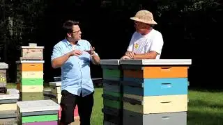 Varroa Monitoring Method  - Part 1 - Varroa Population Dynamics