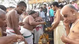 Ammaji Mandir Ayodhya Brahmothsavam 2019 THIRTHAVARI_and_PERIYA_THIRUMANJANAM