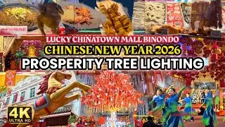 Prosperity Tree Lighting Chinese New Year 2026 at Lucky Chinatown Mall Street Walk 