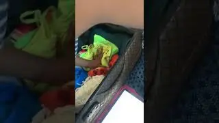 Pack my suitcase for a trip to Jamaica with me!