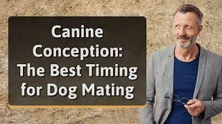 Canine Conception: The Best Timing for Dog Mating