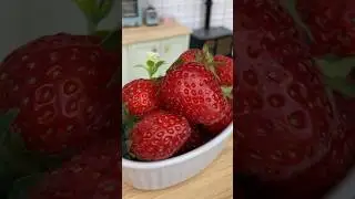 Strawberry cheesecake #tinyhouse #tinycooking #tinyfood #tinykitchenset #5minute