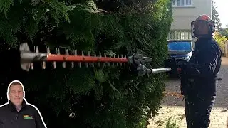 Small garden maintenance job | Hedge trimming and  long wet grass