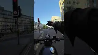 Поездка на тревоге