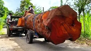 Ide Gila dari Seorang Pria: Mengubah Kayu Berwarna Menjadi Peralatan Bernilai Jutaan Dolar!