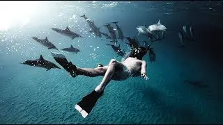 THE PAST FEW MONTHS || Nolan Omura