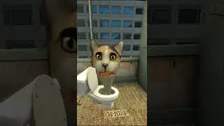 Cat Pants ate cameraman ! 😱🔥  #cat #meme #gmod