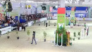 فرسان أولاد عيار