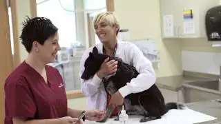 Broadview University Veterinary Technology Student- Tawni