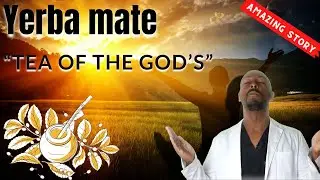 Yerba mate &ldquo;tea of the God&rsquo;s&rdquo; amazing health and weight loss benefits!!