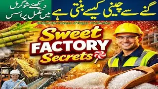 🍬 How Sugar Is Made | Inside a Sugar Factory 🏭 | Sugar Production Process