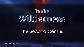 Numbers - In The Wilderness - The Second Census