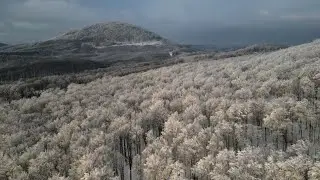 Morning Hike Amidst Frosty Little Carpathians I SK