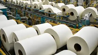 How Toilet Paper Is Made | The Hygienic Journey