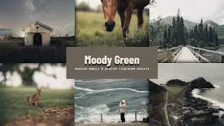 Lightroom Moody Green Presets | Free tutorial & download
