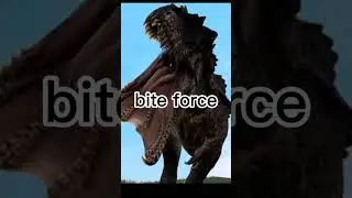hypo vs giga
