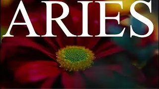 ARIES APRIL 2021 MONTHLY LOVE TAROT READING &ldquo;NEW LOVE / EX LOVERS AND FRIENDS RETURN HAPPY BDAY💜💜💜