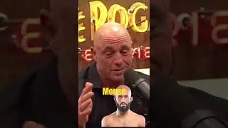 The Best UFC Fighter According To Joe Rogan!
