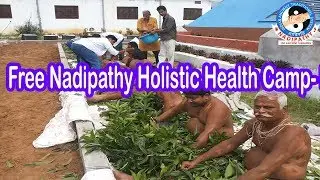 International Nadipathy Holistic health Camp