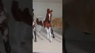 Me when my models finally have a place to go... 😂 #breyerhorses #modelhorse #horse