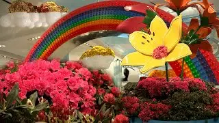 Macy's Flower Show blooms for 48th year