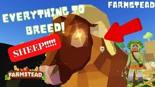 EVERYTHING YOU NEED TO BREED SHEEP!!! #FARMSTEAD #roblox