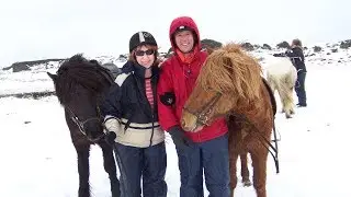 Iceland &ndash; Viking Horse-Riding and Blue Lagoon Tour
