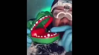 No bueno. #crocodile #asmr #memes #pleasesubscribe #fyp
