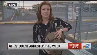 Cypress Lake student arrested for possession of a firearm at school