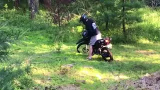 Hawk 250 Back at the Forest