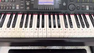 Joy to the world! Yamaha Clavinova CVP-301