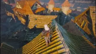 Novigrad, Putrid Grove