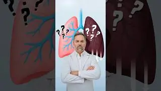 Правда о ХОБЛ ❌ Никакие добавки не могут вылечить её, но это может помочь 🫁