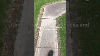 Cheapest way to kill weeds anywhere