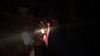 #blaze #bonfire #combustion #embers #fire #firestorm #flames #heat #ignite #inferno