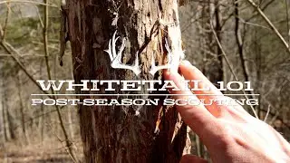 Whitetail 101 Post Season Scouting
