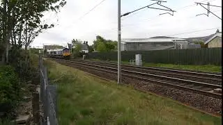 66427 and 66430