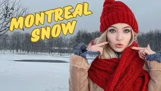 Amazing Snowy Day in Montreal 🇨🇦