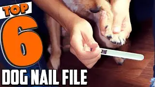 6 Must-Have Dog Nail Files for Safe & Smooth Grooming